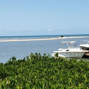 Meet your Posher, Iris a.